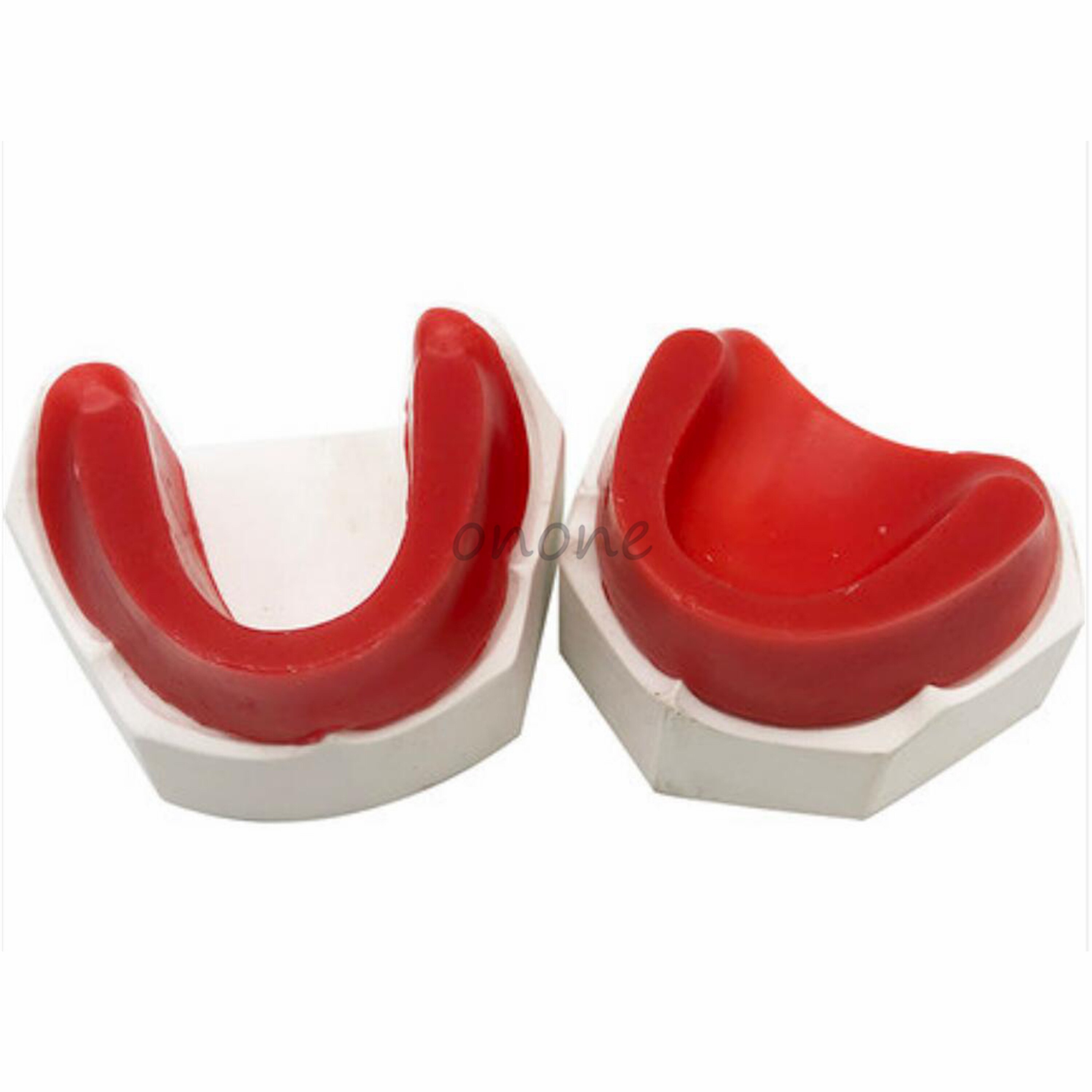 1 pièces Cire Remblai Modèle de Mâchoire Édentée Base de Plâtre Cire Molle Dentaire Modèle D'apprentissage Modèle D'enseignement