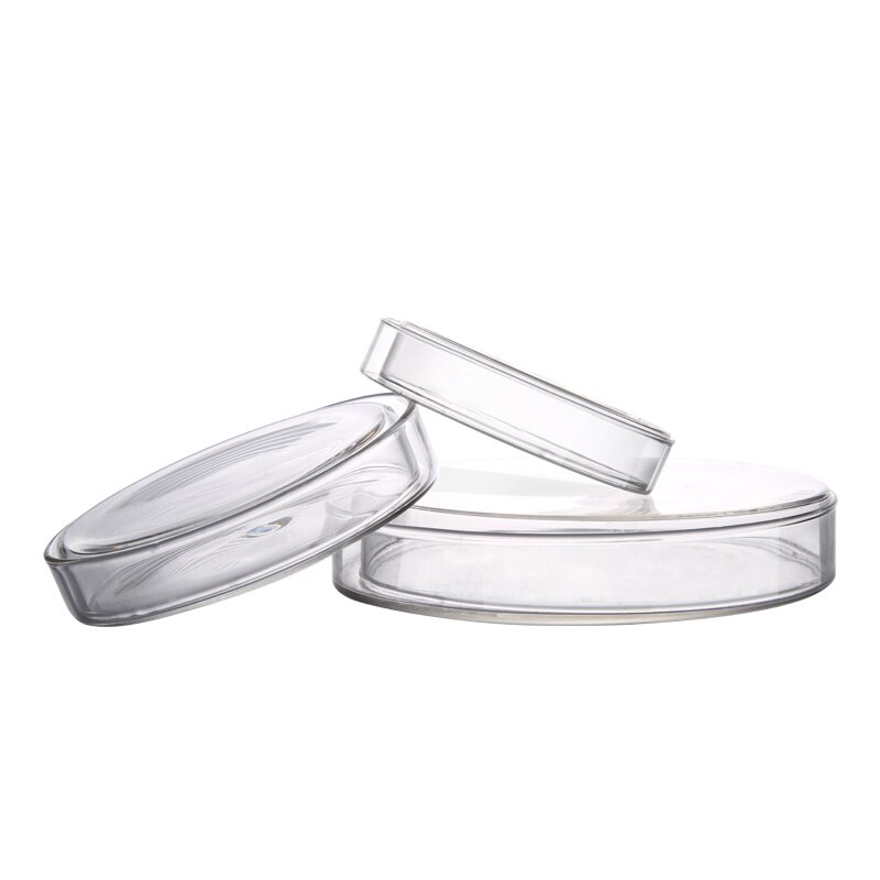 10 stück 75mm Glas Petrischale