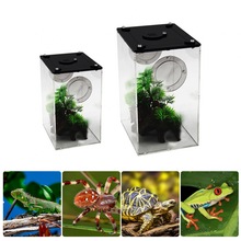S/L Reptile Feeding Box Transparent Panorama Insect Breeding Box Snake Spider Lizard Breathable Reptile Breeding Container