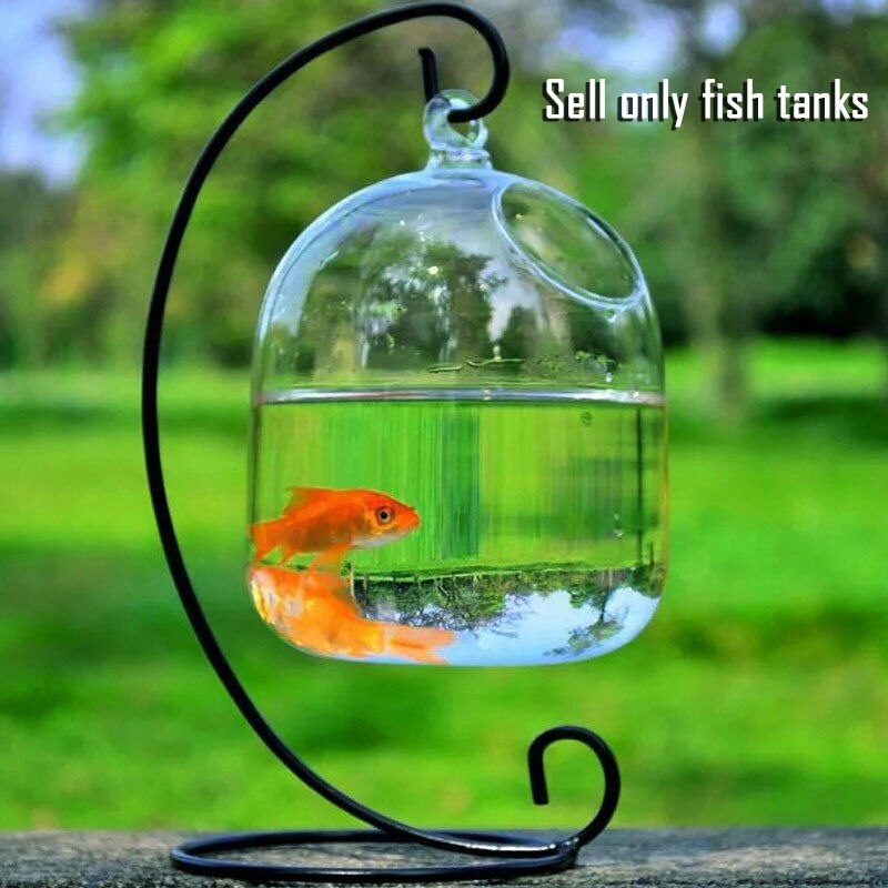 Jarrones colgantes de vidrio transparente, peceras, decoración de acuario hecha a mano
