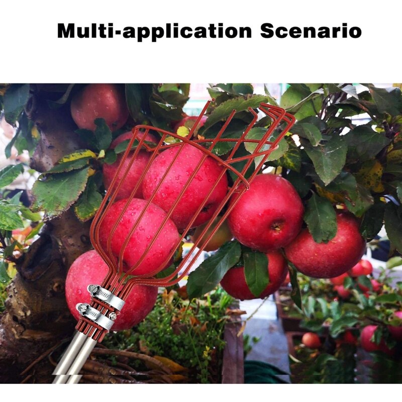 Detachable Stainless Steel Handle High Altitude Fruit Picker with Large Basket