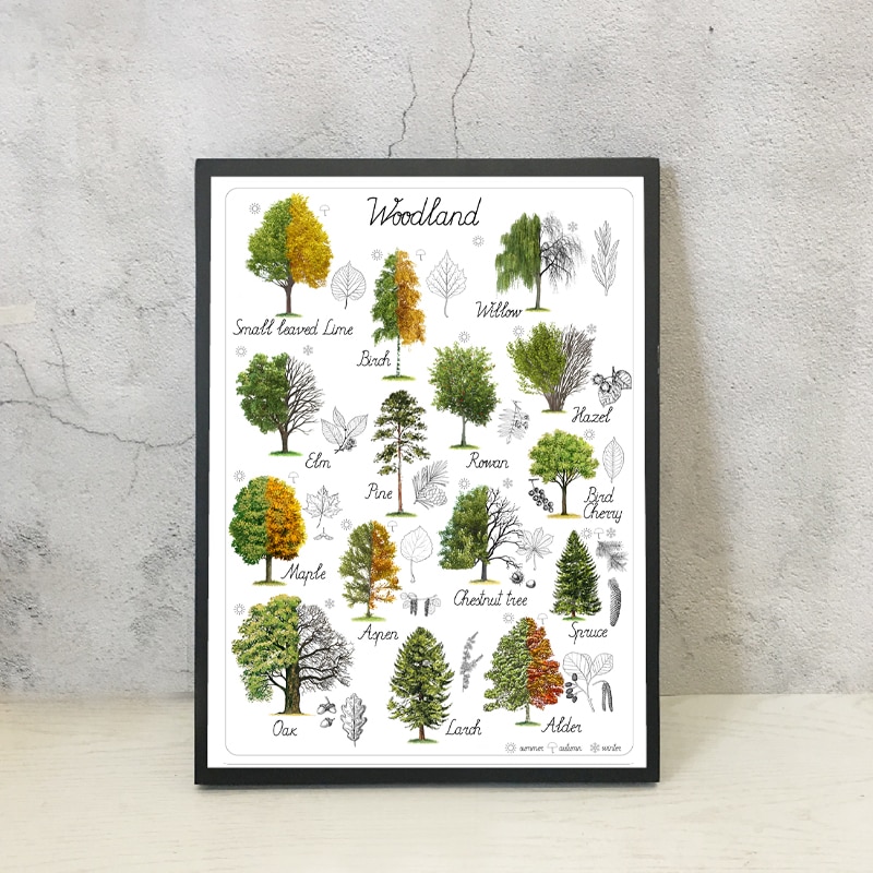 Tree Natural Educational Poster Art Woodland Home Wall Decor Botanical Materials Preschool Painting Retro poster kraft paper