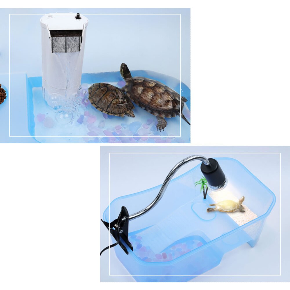 Schildpad Tank Reptile Habitat Reptiel Aquarium Tank Schildpad Live Kweekbak Met Platform Planten