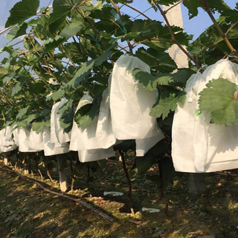 100 pièces raisin Protection sacs pour fruits légumes raisins maille sac contre insecte pochette étanche antiparasitaire Anti-oiseau jardin