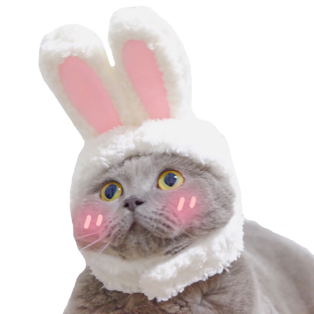 Słodki pies kapelusz zwierząt Kawaii placki czapka ciepłe akcesoria dla zwierząt domowych czapki dla psów czapki zwierząt domowych czapka śmieszne Cosplay dla zwierząt domowych kapelusz dla małych szczeniąt