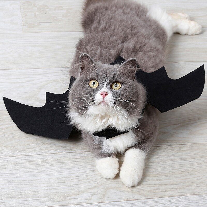 1Pc Halloween Pet Dog Costumes Bat Wings Black Cute Fancy Dress Cat Costume Pet Cosplay Clothing Cat Halloween Costume Bat Wings