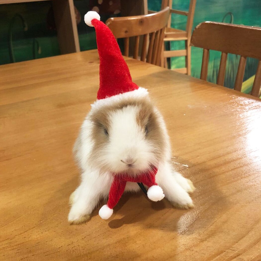 Small Animals Pet Santa Claus Hat Rabbit Hamster Guinea Pig Rats Festival Costume Christmas Cap with Band Pet Products