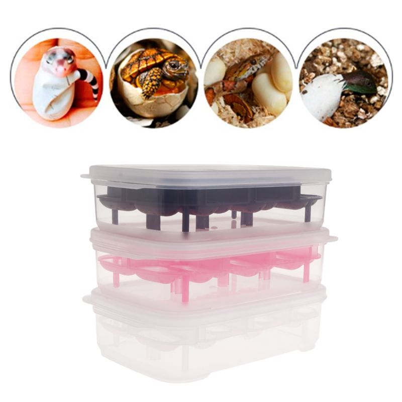 Reptil ägg inkubator 14 luckor transparent lock för ödla orm gecko ägg kläckare kläckning låda fack plasti