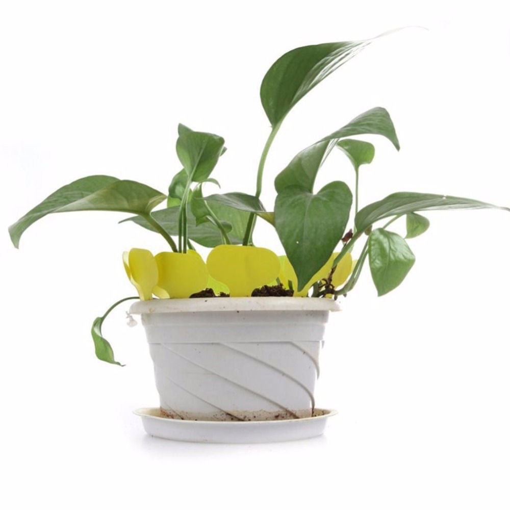 100 st plast t-typ trädgårdsmärken ornament växt blomma etikett plantskola tjocka tag markörer för växter trädgård dekoration