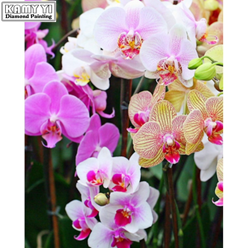 5d diy diamantmaleri korssting orkidé blomster sæt diamantbroderimønster rhinestons 3d mosaik håndarbejde