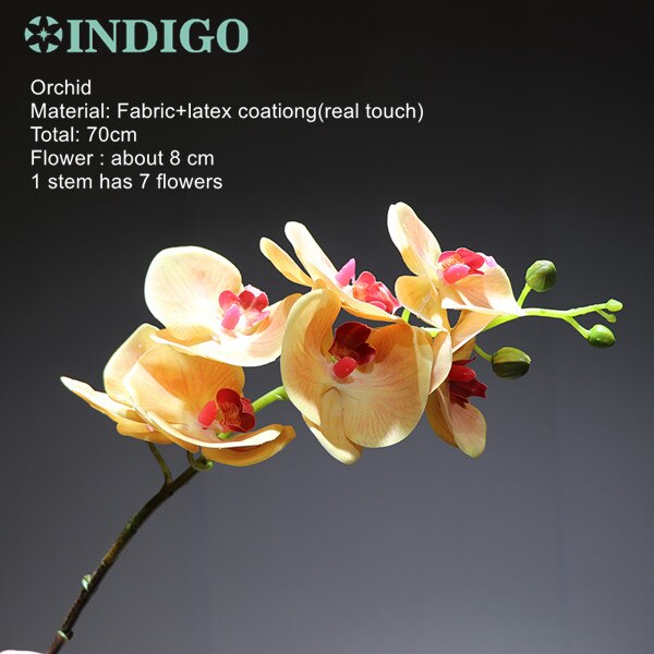 INDIGO - 3D Printing Petals Phalaenopsis White Orchids (7 Flowers/Stem) Real Touch Wedding Flower Floral Party: 1 pc Champagne