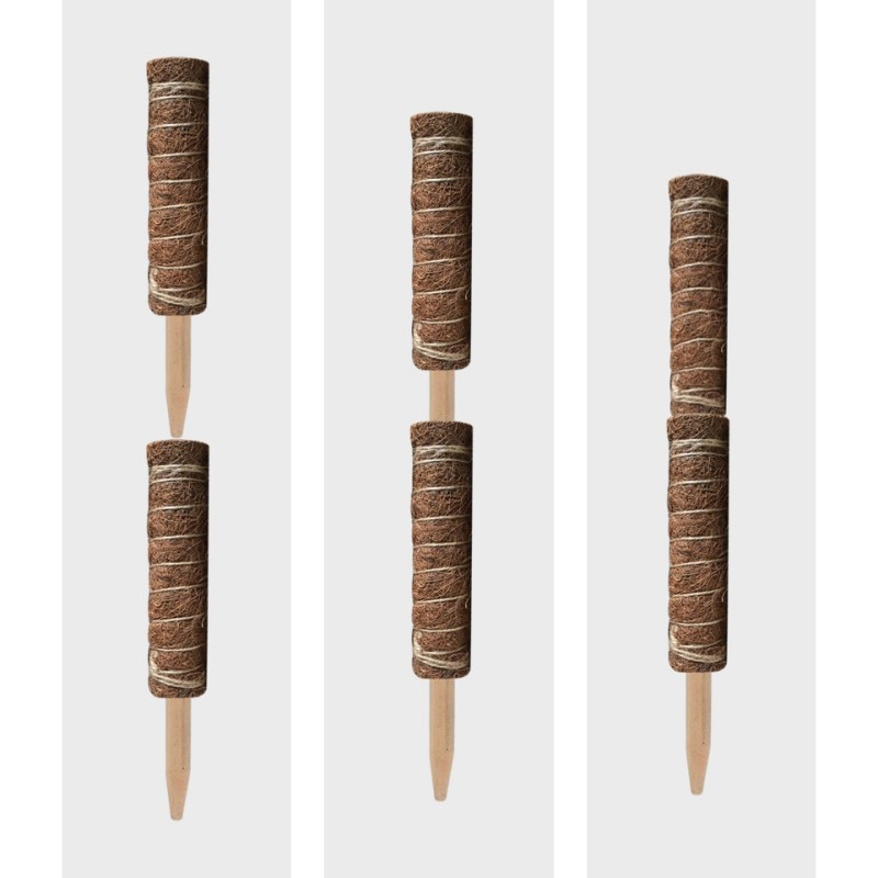 1/2/4 stk kokos mos totempæl kokos mos pind til slyngplanter plantestøtte forlængelse klatre indendørs haveplanter 30/40/45/60cm