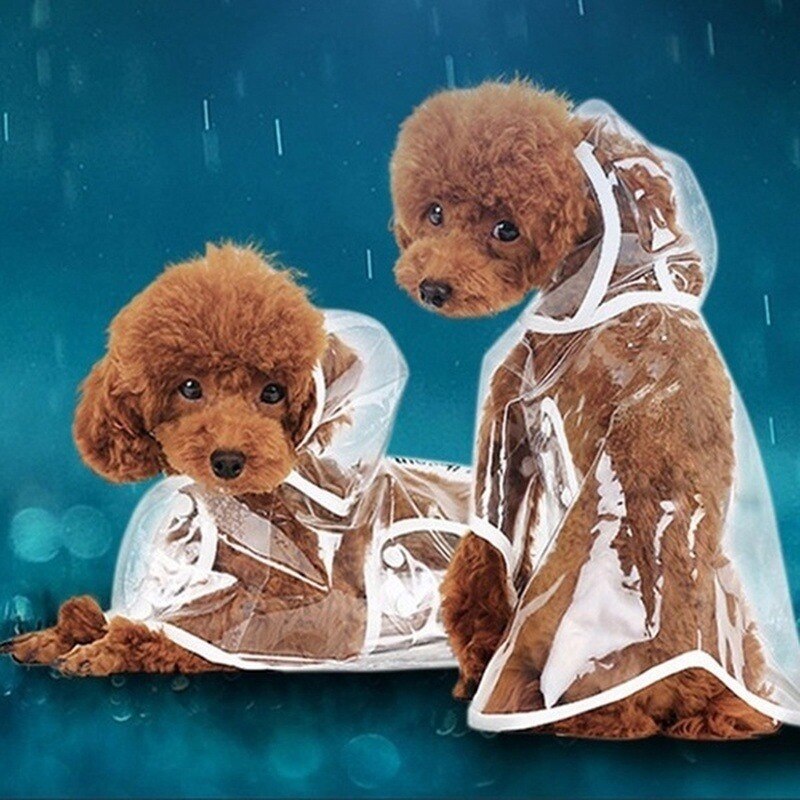 Poncho imperméable pour chien, manteau de pluie réfléchissant, vestes imperméables à capuche, vêtements d'extérieur, fournitures pour animaux de compagnie