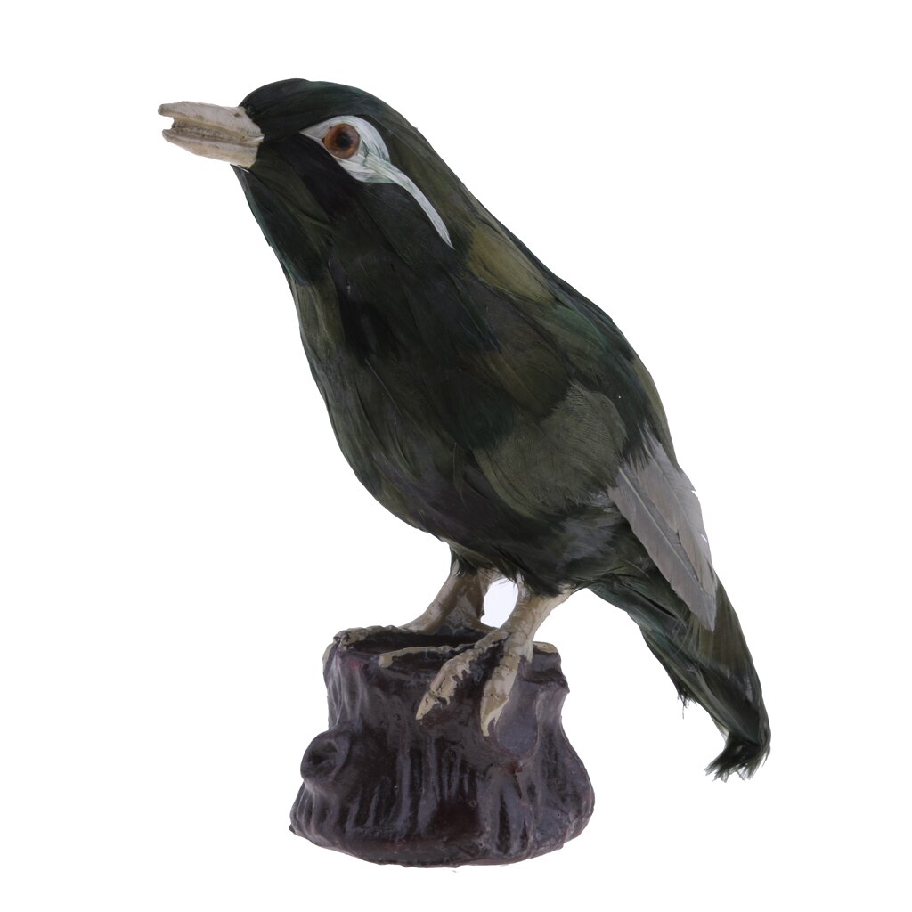 Realistic Magpie Peacock Bird Figurine Garden Ornaments Decor
