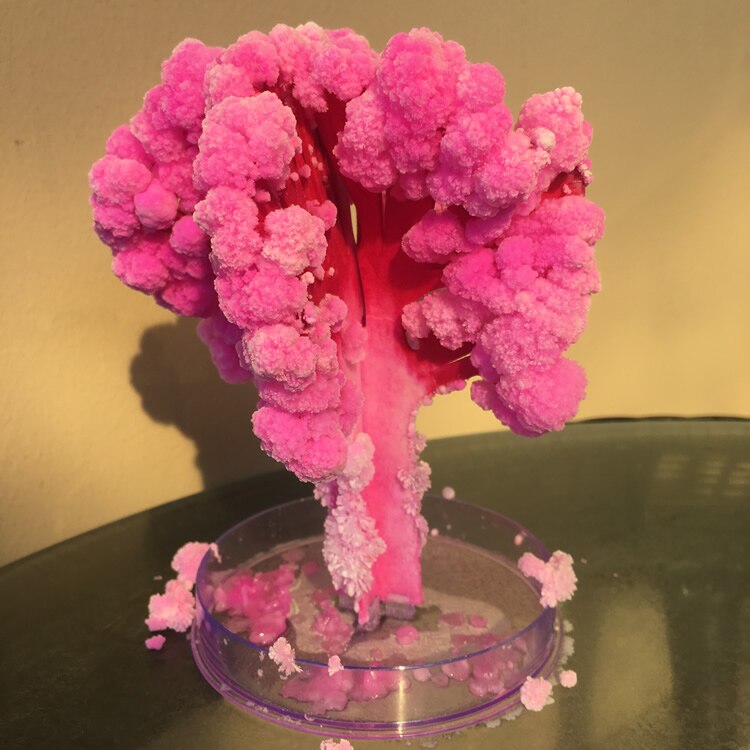 6 pz la magia di crescita albero crescente magico carta sakura 12*12 centimetri 50g divertente per bambini regalo scienza istruzione per l'apprendimento