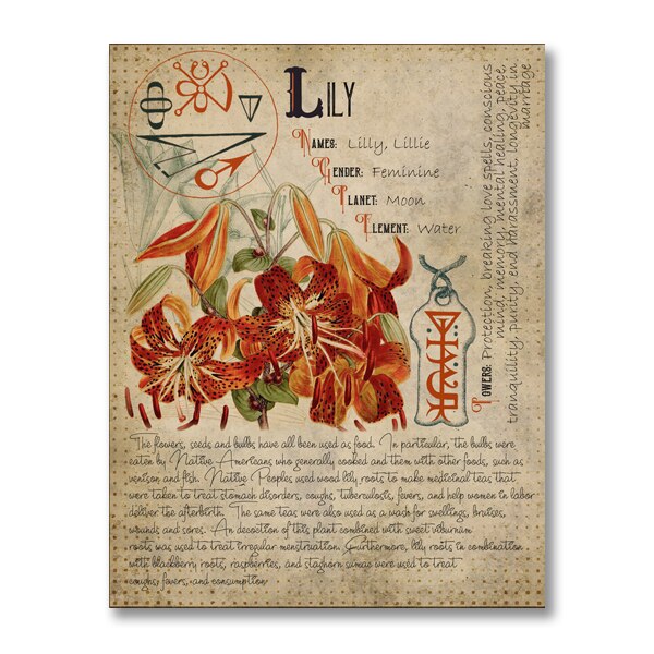 Book of Shadows Poster Pages of Herbs Prints Witchcraft Herbal Grimoire BOS Sheets Magic Painting Herbarium Decoration: Silver / 21x30cm No Frame