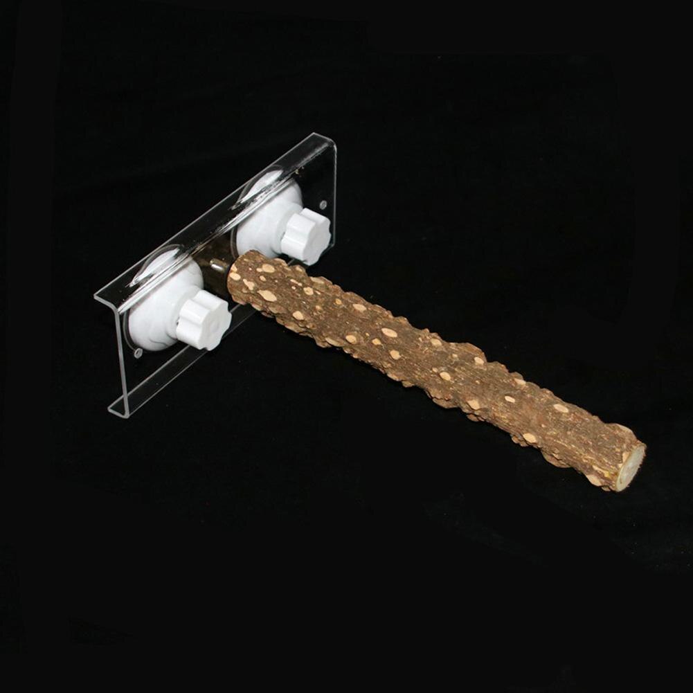 Palo de madera de pie para aves y loros, ventosa, barra de ducha, juguete de baño, suministro para mascotas: Zanthoxylum 25cm