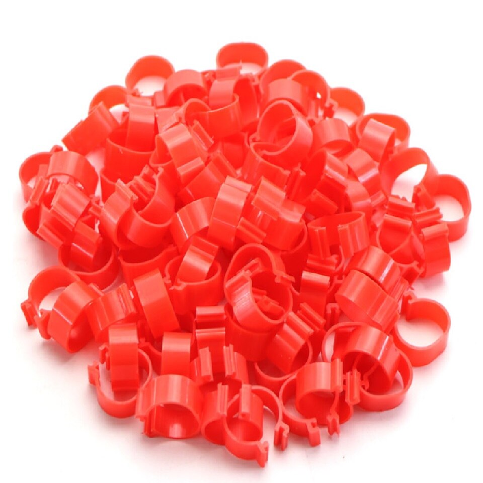 100 Stuks Fokken Experiment Kip Binnendiameter 16/18/20/25Mm Voet Ring Gesp Pluimvee Been kuiken Eend Gans: Rood