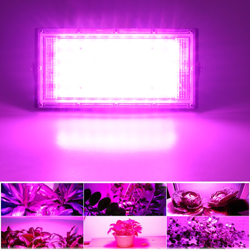 50W 220V-240V Led Flood light Led Grow light Full Spectrum LED plant growth lamp Waterproof IP65 plant floodlight spotlight