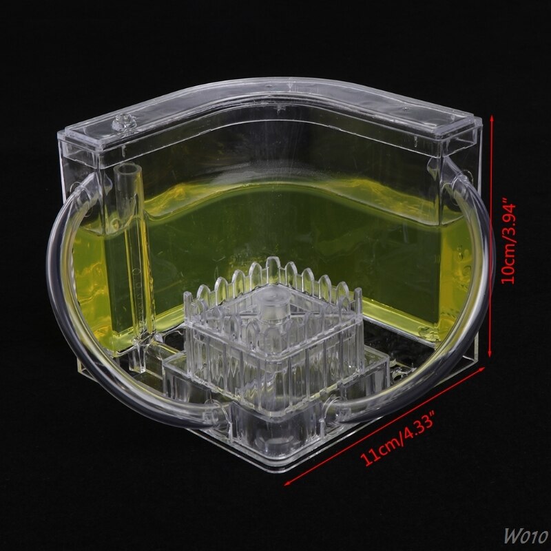 3D Ant Farm Educational Maze Live Feeding System Ants Habitat World Pet Villa