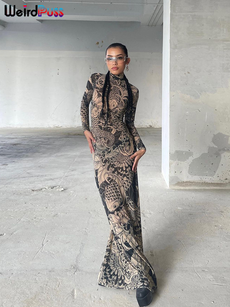Raar Poes Mesh Print Vrouwen Maxi Jurk Coltrui Volledige Mouw Bodycon Herfst Trendy Hipsters High Street Party Y2K Kledij