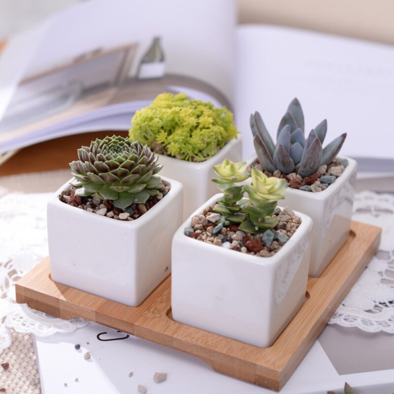 Bols en bambou naturel assiettes pour plantes succulentes Pots plateaux Base Stander décor de jardin décoration de la maison rond carré plateau artisanat