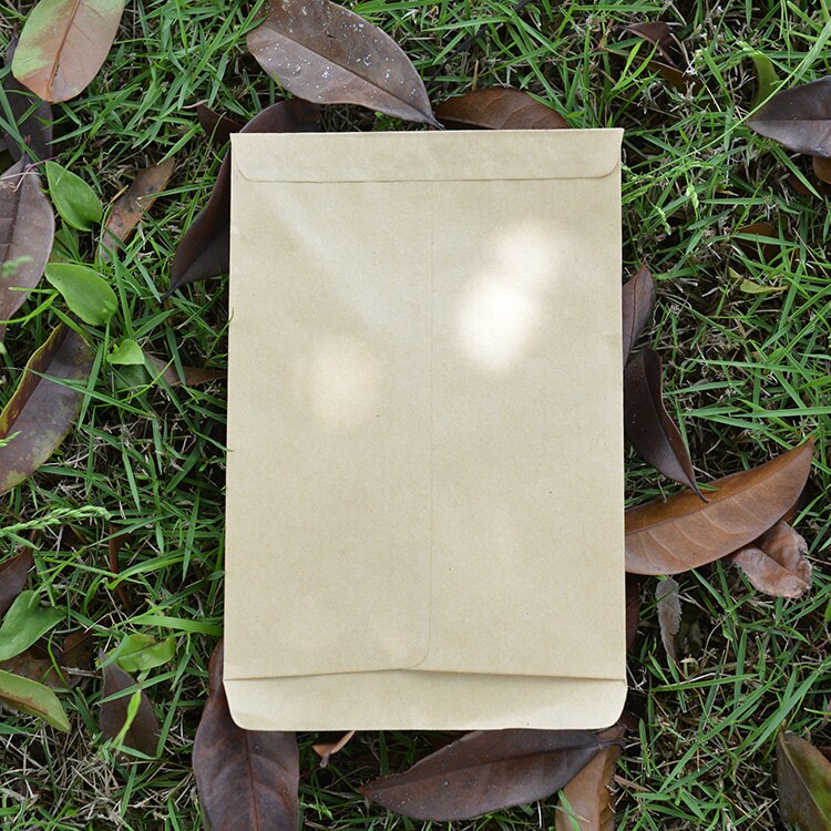 100 unids/lote de bolsas de papel kraft de 6x20/9x13/12x28/12x20cm, saco de aislamiento, embalaje de semillas/protección, estilo sobre vertical