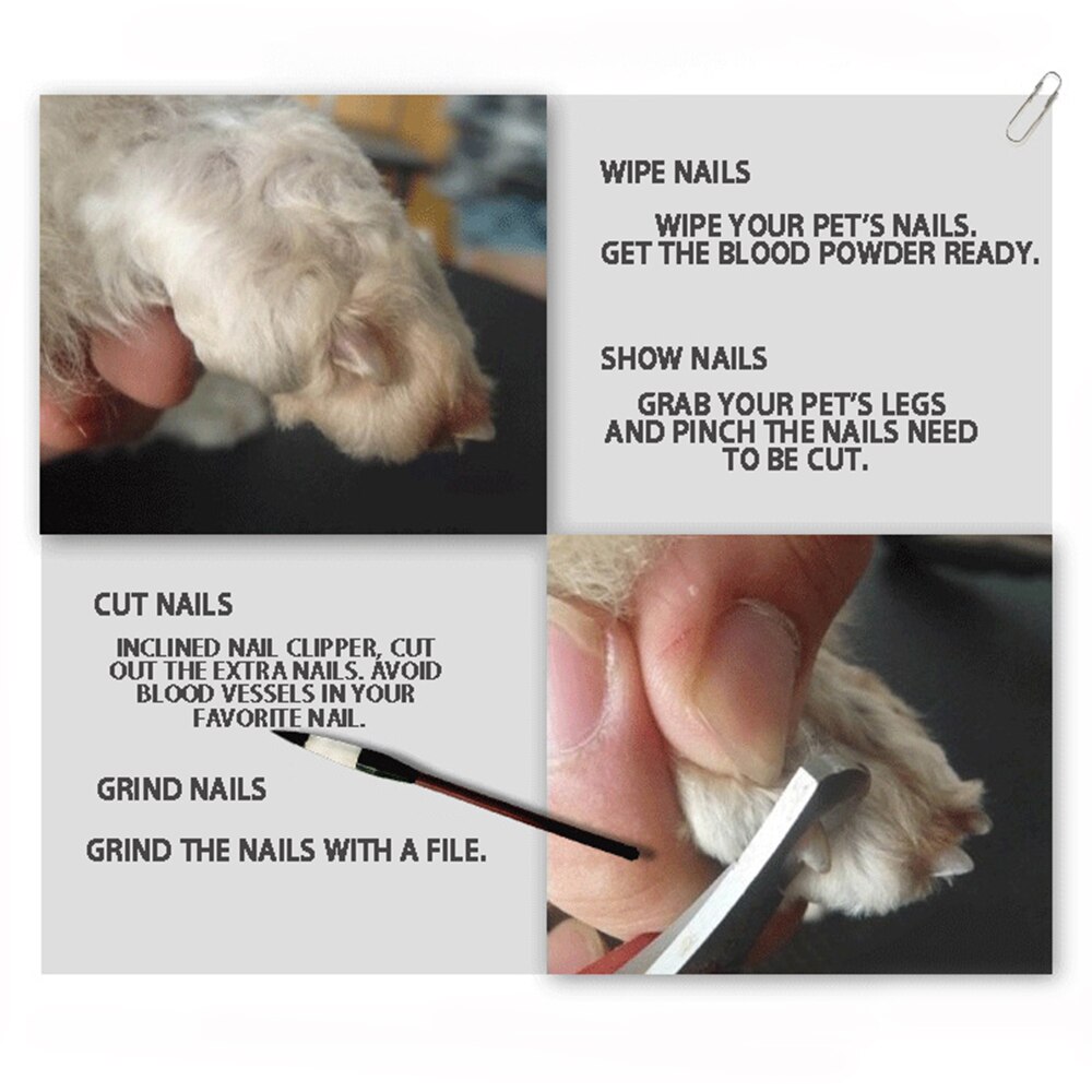 Cortador de uñas para perros cortador de uñas de acero inoxidable, tijeras profesionales para el cuidado de animales, para perros y gatos pequeños y medianos