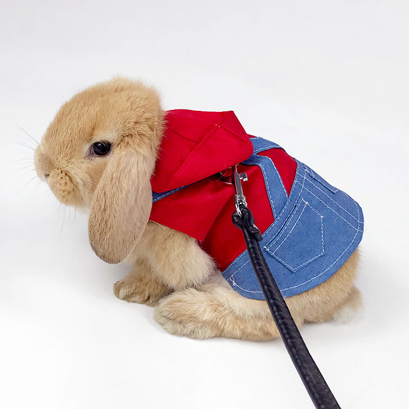Vêtements en Denim pour petits animaux, veste, manteau, harnais, gilet, sac, chapeau, ensemble pour furet, lapin, Hamster, fournitures pour petits animaux de compagnie