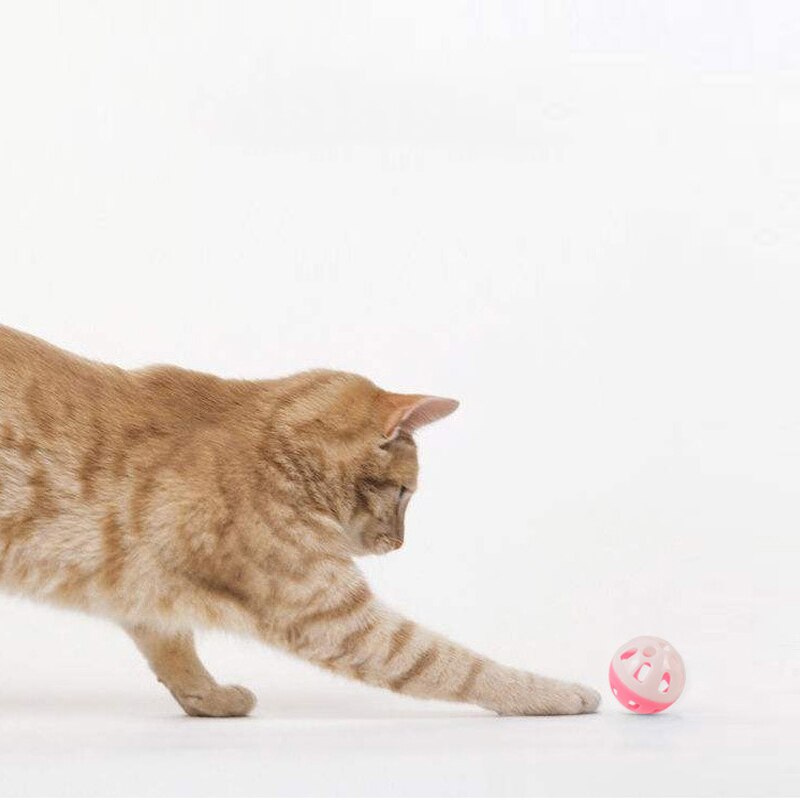 Leuke Grappige Katten Bal Met Bel Ring Spelen Chew Rammelaar Scratch Plastic Bal Interactieve Training Speelgoed Willekeurige Kleur