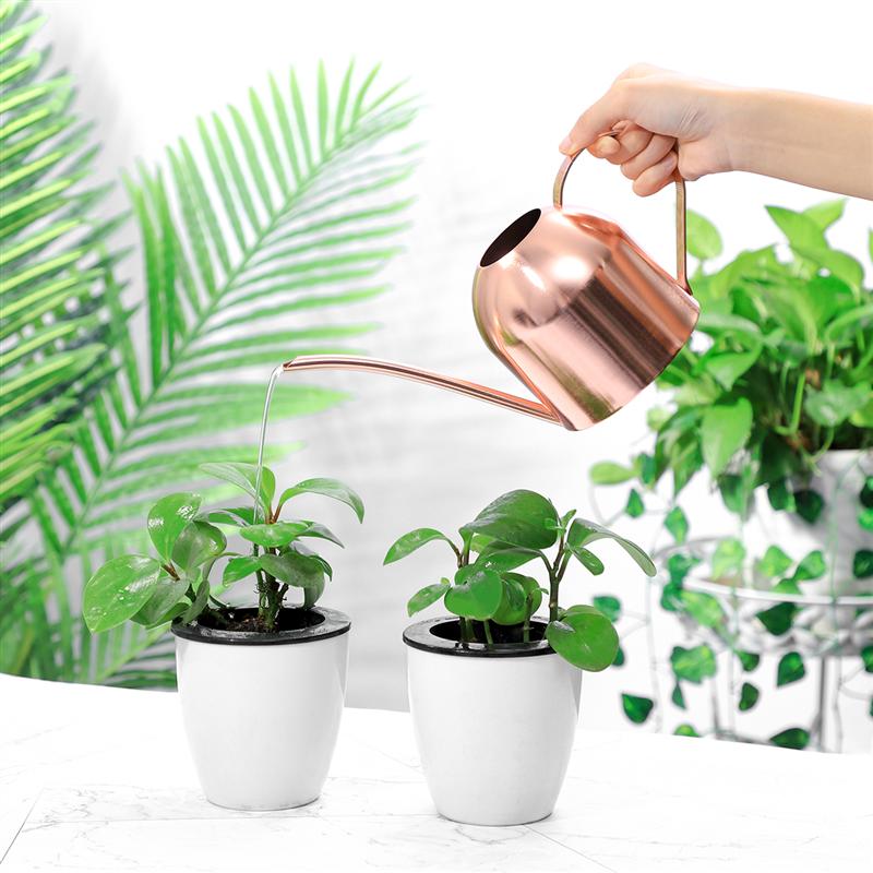 Yardwe-regadera de acero inoxidable de 1000ml para plantas de interior, suculentas, surtidor largo, maceta de riego para el hogar, jardín y oficina (cobre)