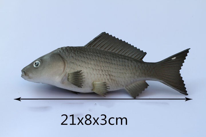 Freshwater Sea Life Animals Simulation Coelacanth Piranha Bass Fish Salmon Figure Model Lifelike Educational Toy Prop Decoration: 9