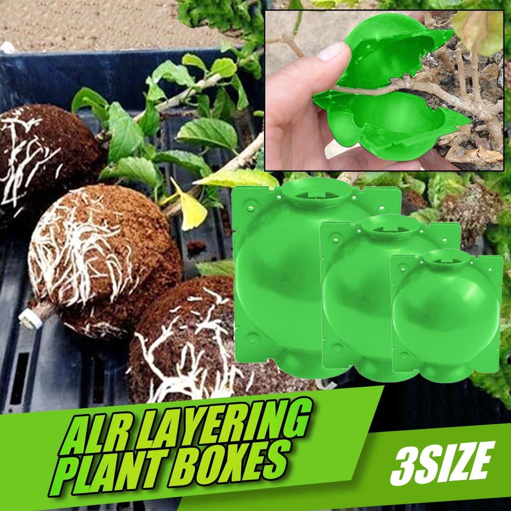 Plant Rooting Ball Plant Root Growing Box Grafting Rooting Growing Box Breeding Case For Garden Plant Root Box
