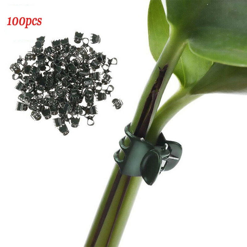 100 Pcs Stakes Connector Clip Fastener Greenhouse Bracket Pole Fixed Clamp Plants Flower Seedling Stem Support Plant Grafting