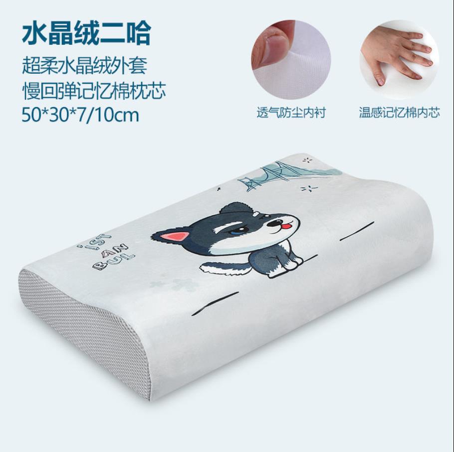 Memory Foam Bed Orthopedisch Kussen Voor Nekpijn Slapen Gezondheid Met Geborduurde Fijne Fluwelen Kussensloop Thuis 60*30Cm top F0436: 13