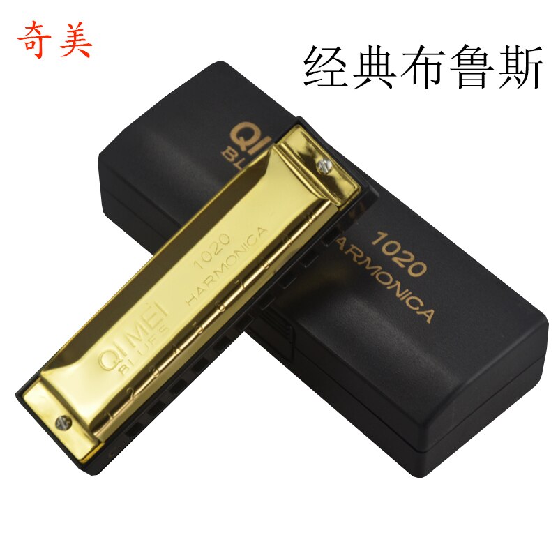 Blues Master Diatonische Harmonica 10 Holes Houder Unieke Melodie Mond Harp Harmonische Harmonica Enfant Folk Instrumenten BD50HH: style 8
