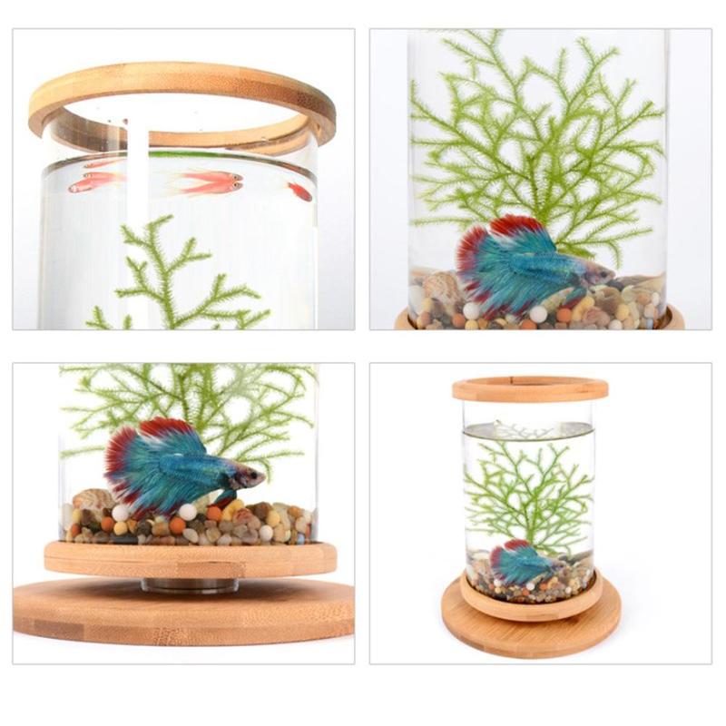 1 pièces en verre Betta Aquarium bambou Base Mini Aquarium décoration accessoires rotation décoration Aquarium accessoires