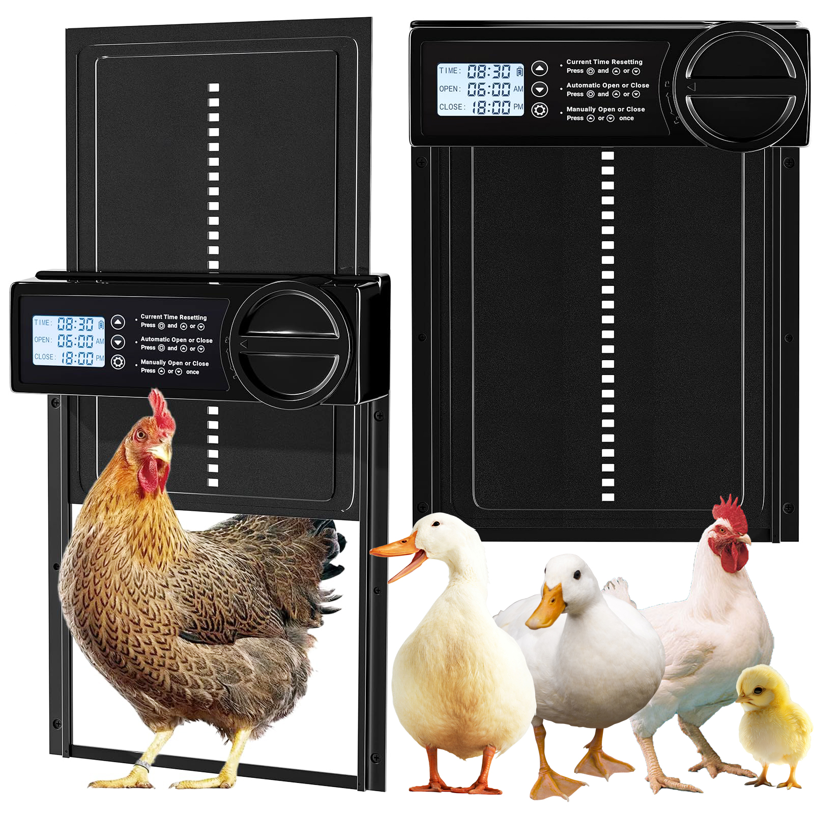 Porta automática do galinheiro, Auto porta do pato, Alimentado por bateria, Porta de frango elétrica com temporizador, Controle manual, Tela LED