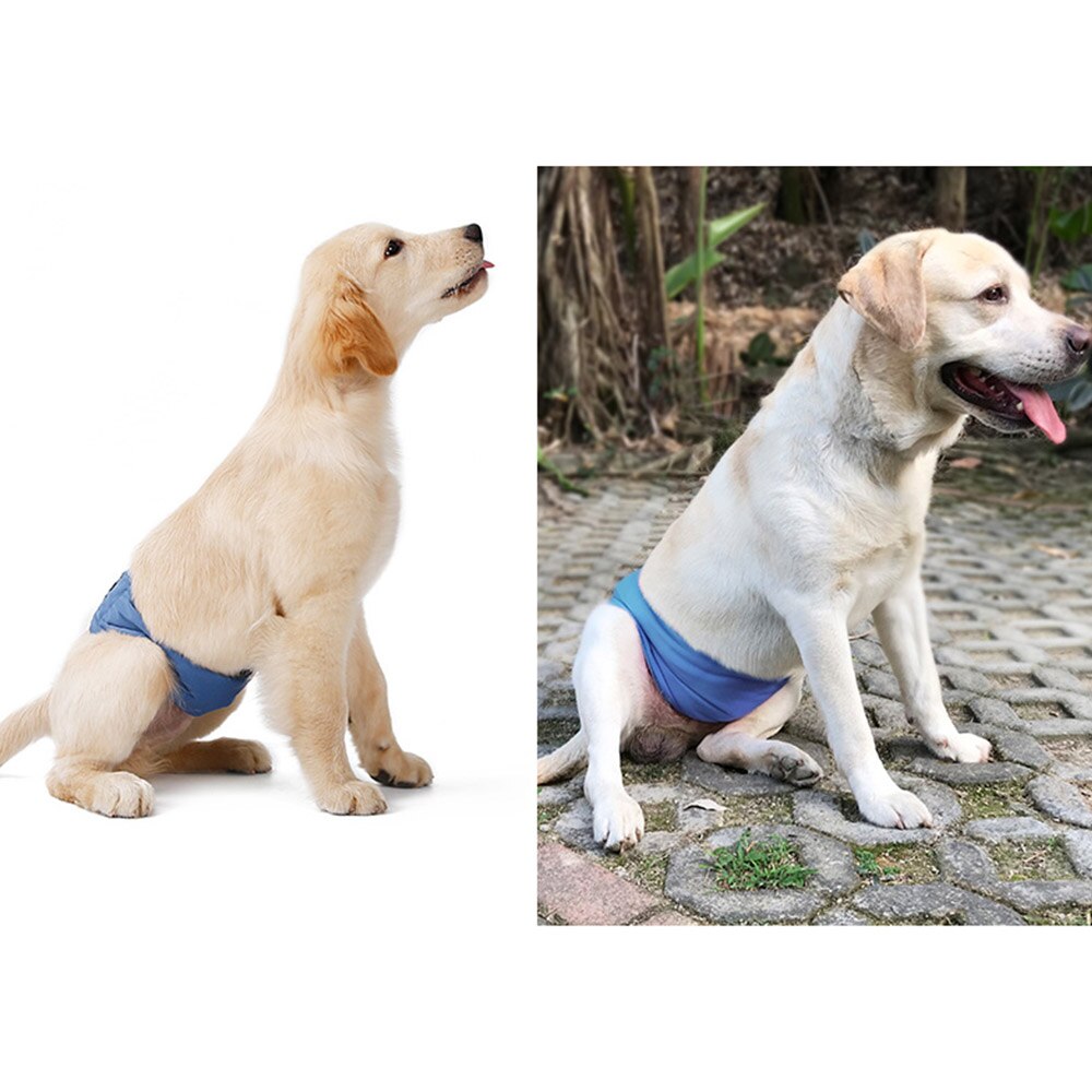 Couche réutilisable pour chien | Bande ventrale en coton, sous-vêtements physiologique, couche enveloppante dessin animé ours éléphant animaux, pantalons sanitaires pour chien masculin