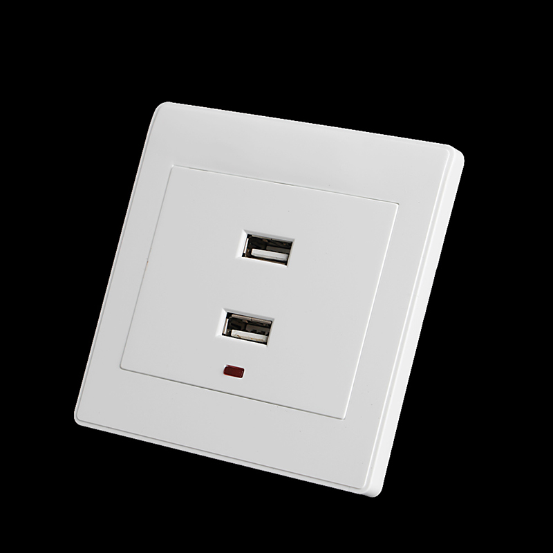 Dual Usb Stopcontact Lader Ac/Dc Power Adapter Plug Outlet Plaat Panel 220V Stopcontacten