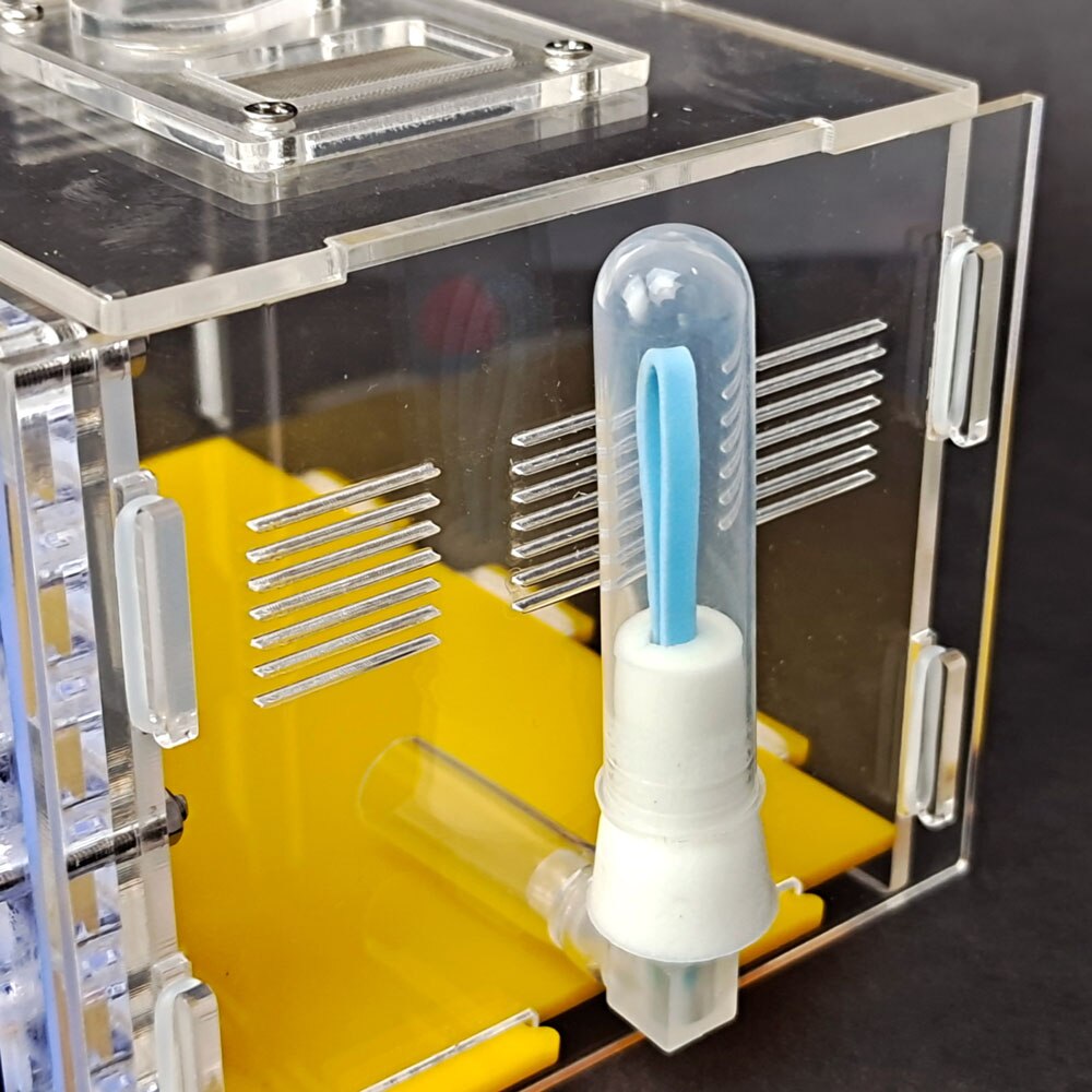 KKMOON CG1233 DIY Ant House 5-layer Acryl Ants Farm with Moisture Feeding Area Birthday Ant House