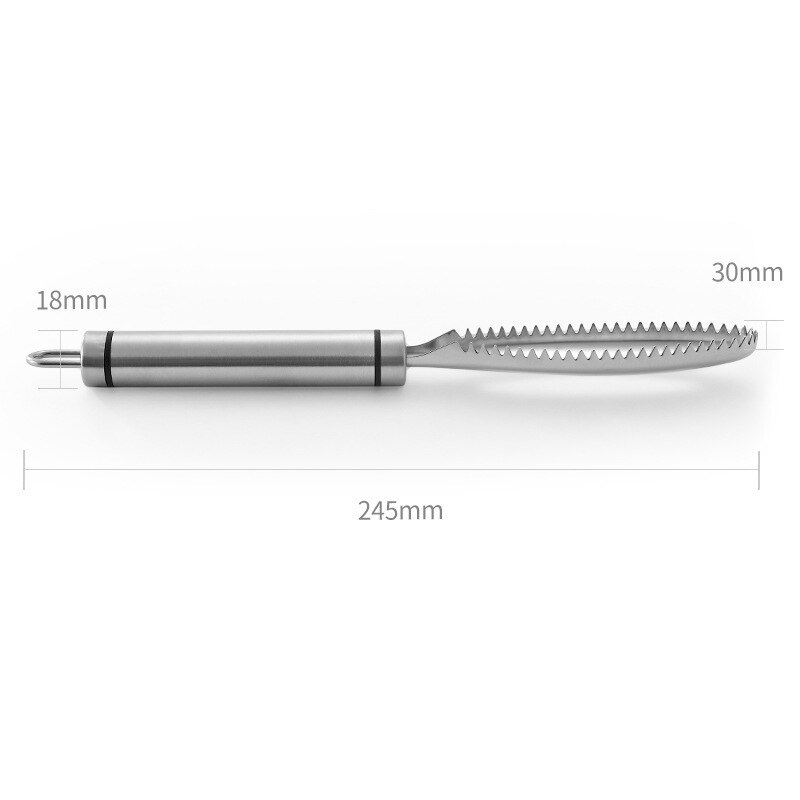 Grattoir à écailles de poisson en acier inoxydable, outils de nettoyage, dissolvant de brosse de peau de poisson, outils de cuisine