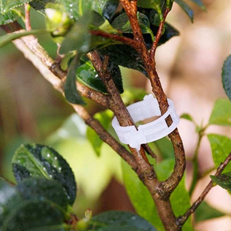 50 stk. plastik plantevinklemmer, der forbinder tomatgrøntsagsklips espalier beskyttelse podning fikseringsværktøj garnplanter