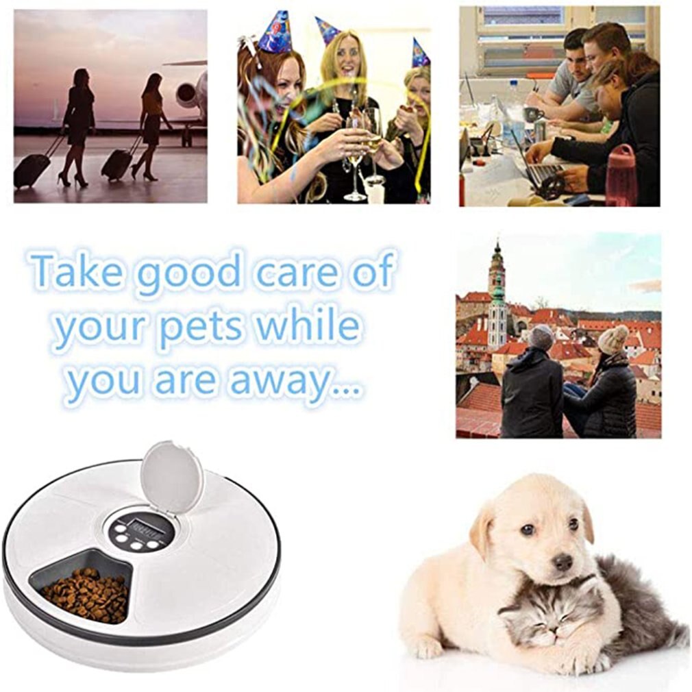Electrical Timing Dog Automatic Feeders 6 Grid Smart Feeders For Cats And Dogs With Music Reminder Pet Supplies