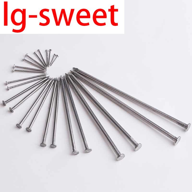 304 Stainless Steel Nail Cement Nail Steel Nail Carpenter Round Nail Cement Wall Nail Lengthened Small Nail Concrete Nail 50Pcs
