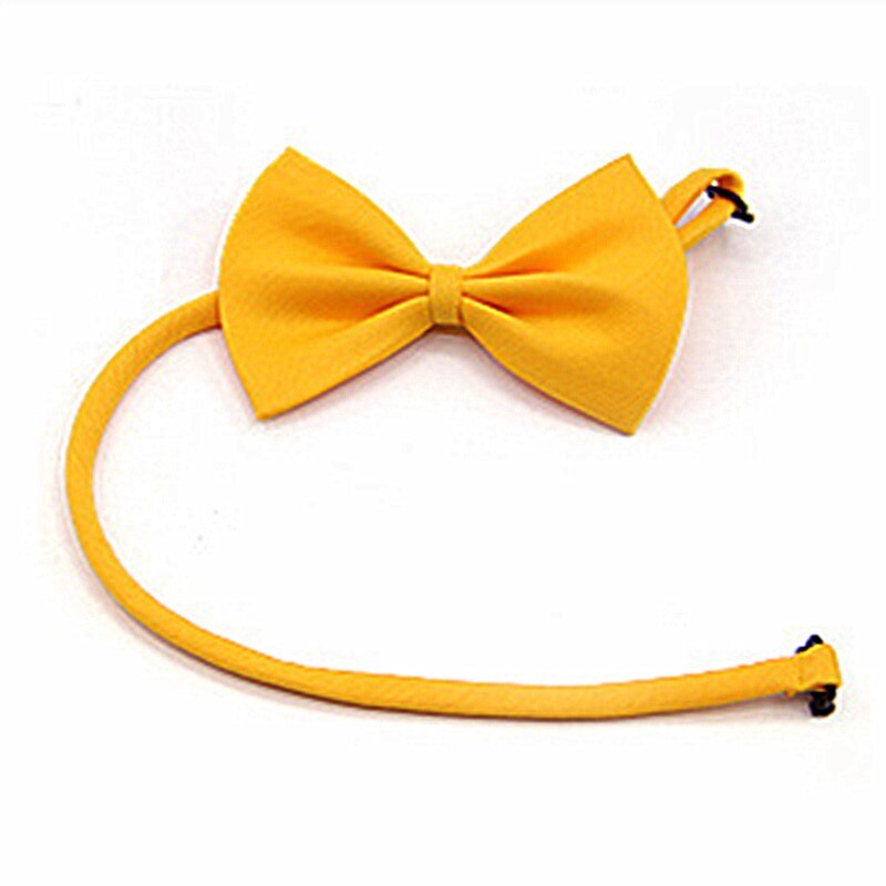 Nieuw Voertuig Auto Veiligheidsgordel Lead Clip Pet Kat Hond Veiligheid Dierbenodigdheden Hond Kraag Pet Veiligheidsgordel Intrekbare Hond leash: 1PC Bow Tie