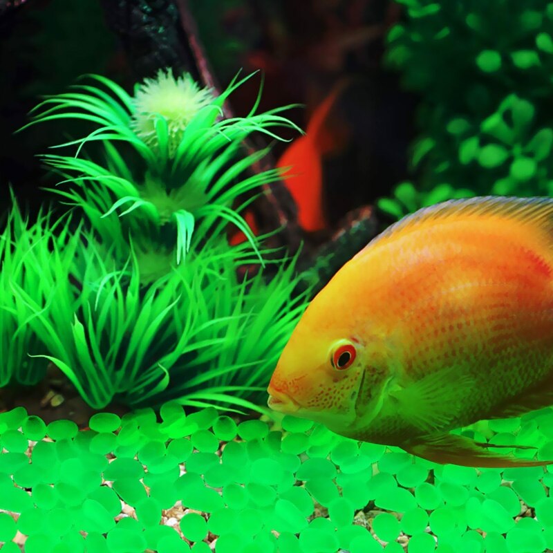 100 stuks tuindecoratie lichtgevende stenen decoratieve fluorescerende kiezels rotsen lichtgevende paden aquariumdecoraties