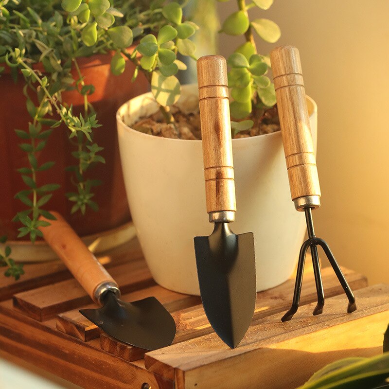 Taitu 3 Stks/set Mini Tuin Schoppen Claw Tool Met Houten Handgrepen Diy Bonsai Gereedschap Voor Beperkte Gebieden Bloem Potplant