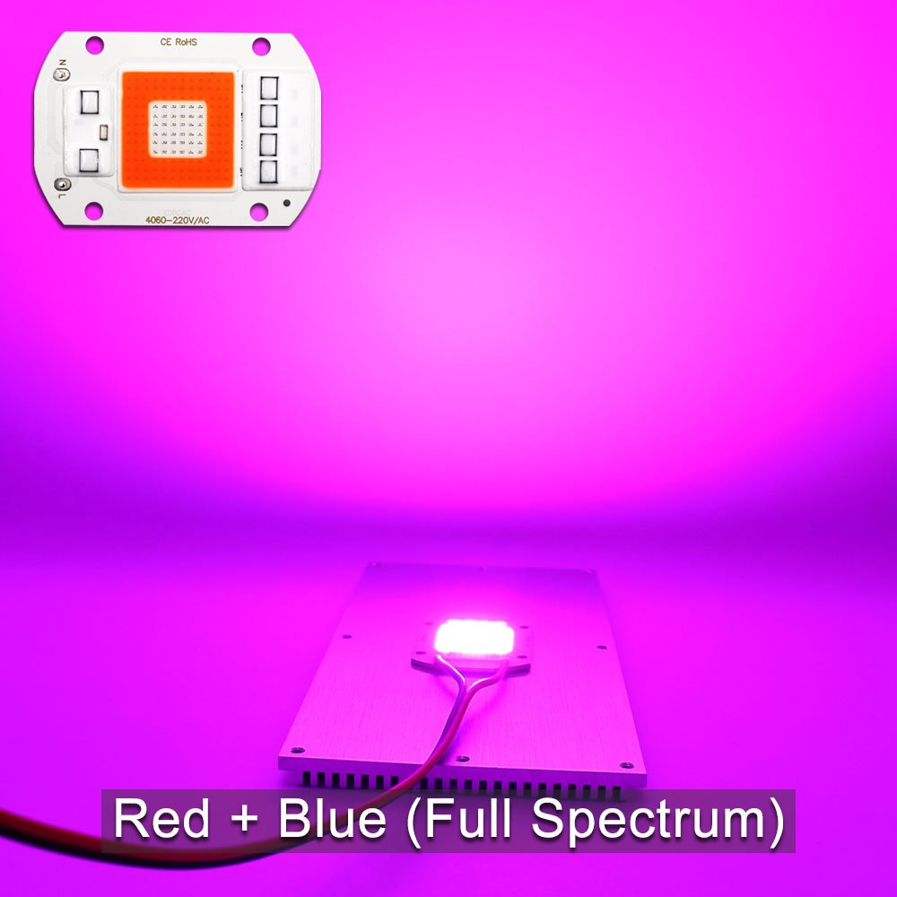 220v 50w blå rød fuldspektrum cob led vokse lys til planter, der vokser blomstrende blomstrende dæmpbar: Cob led chip