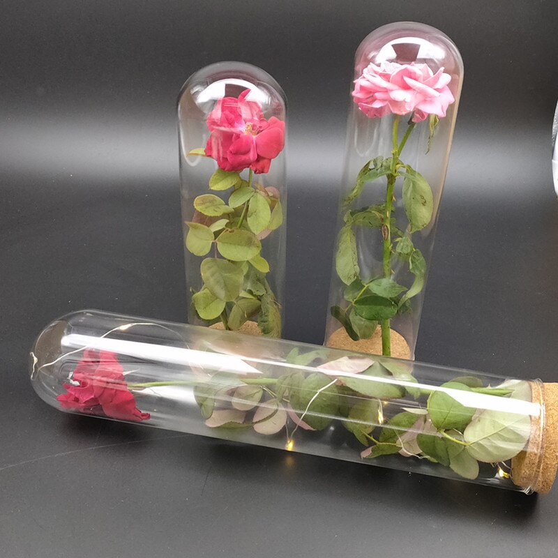 7*30cm Cork Base Glass Dome Home Wedding Decoration Diameter=7cm Diameter=30cm Glass Cover Vase Friend